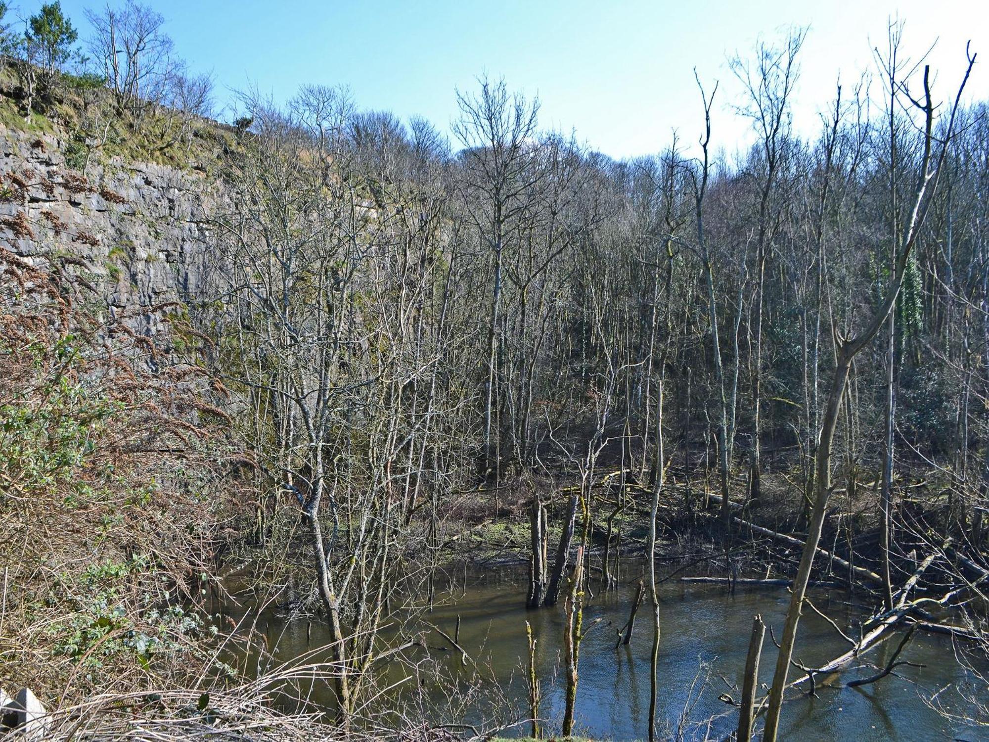 Brigham  Ramblers Retreatヴィラ エクステリア 写真